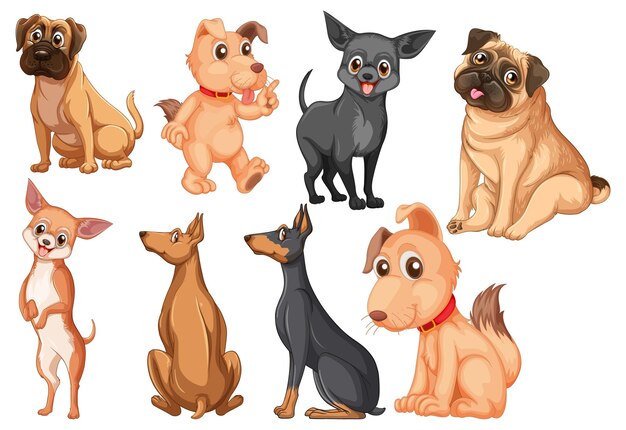 Conjunto de diferentes razas de perros en estilo de dibujos animados