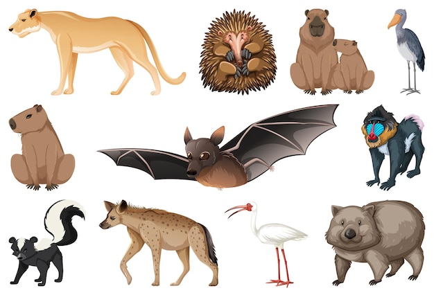 Vector gratuito conjunto de diferentes tipos de animales.