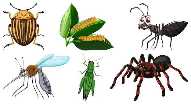 Conjunto de diferentes tipos de insectos.