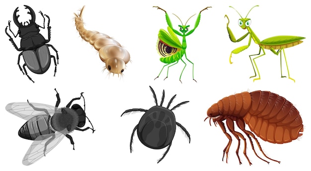 Conjunto de diferentes tipos de insectos.
