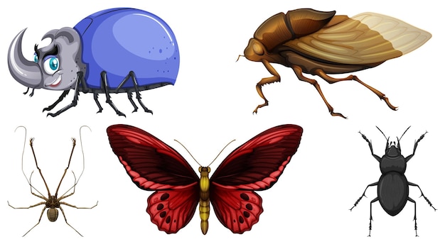 Vector gratuito conjunto de diferentes tipos de insectos.