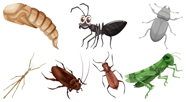 Vector gratuito conjunto de diferentes tipos de insectos.