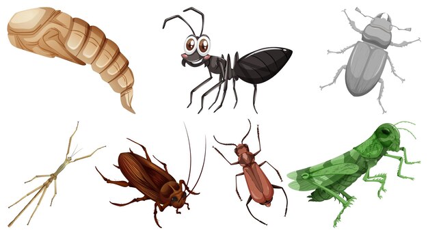 Conjunto de diferentes tipos de insectos.