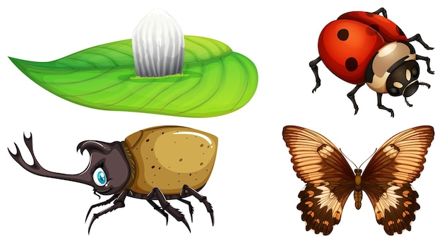 Vector gratuito conjunto de diferentes tipos de insectos.