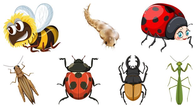 Conjunto de diferentes tipos de insectos.