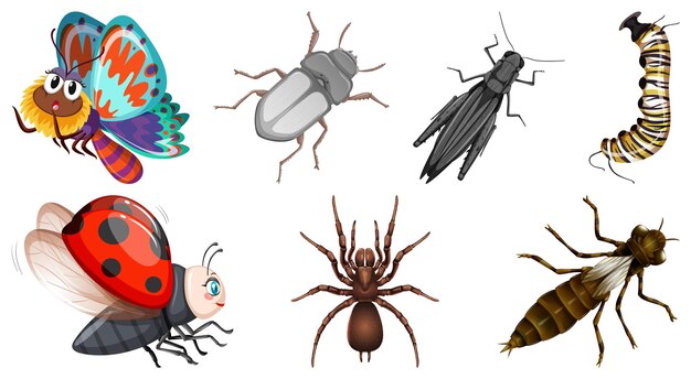 Conjunto de diferentes tipos de insectos.