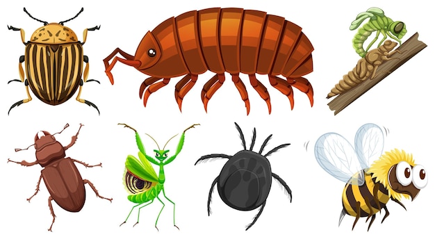 Vector gratuito conjunto de diferentes tipos de insectos.