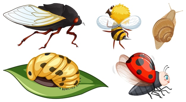 Vector gratuito conjunto de diferentes tipos de insectos.