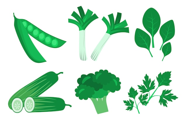 Conjunto de diferentes vegetales verdes dibujo sobre fondo blanco.