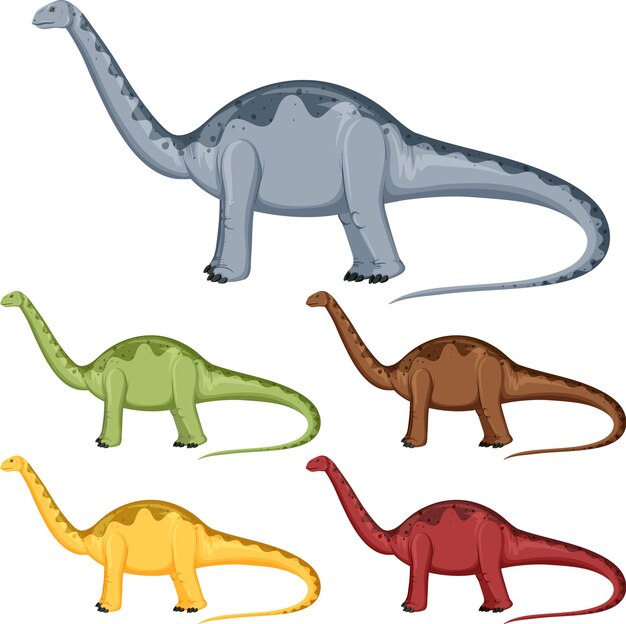 Un conjunto de dinosaurios apatosaurio sobre fondo blanco.