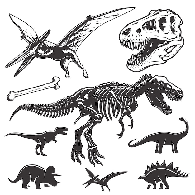 Conjunto de dinosaurios monocromáticos. elementos de arqueología. cráneo y esqueleto de t-rex. iconos de dinosaurios.