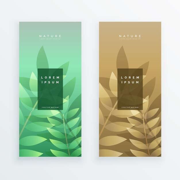 Conjunto de diseño de banner de hojas verticales