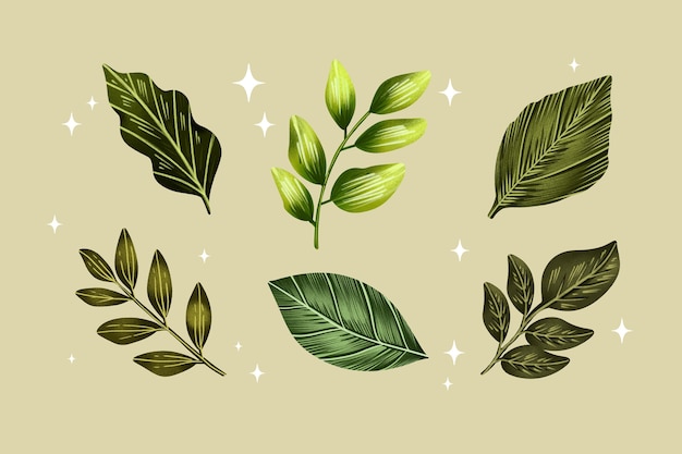 Vector gratuito conjunto de diseño de hojas de acuarela