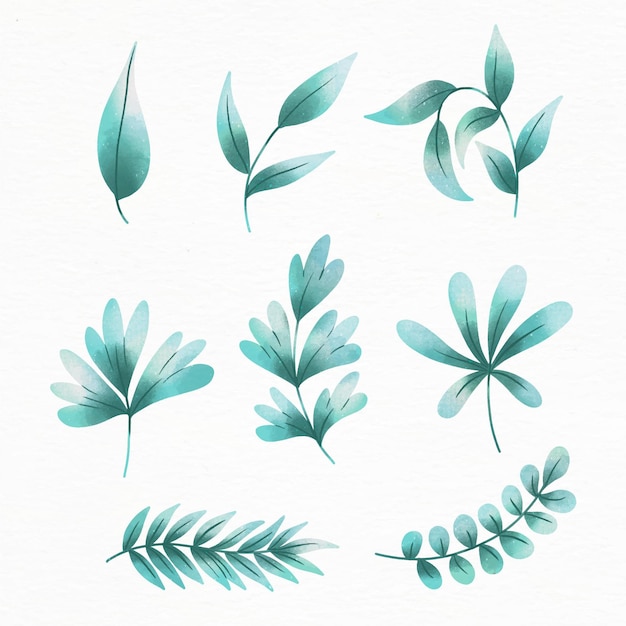 Conjunto de diseño de hojas de acuarela