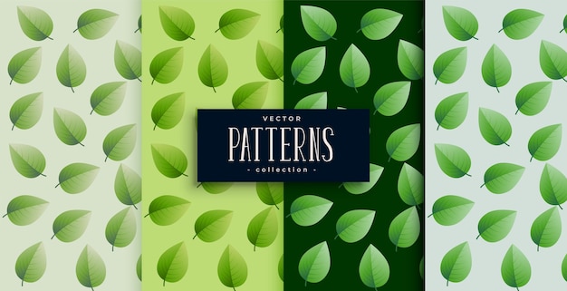 conjunto de diseños realistas de hojas verdes en varios colores