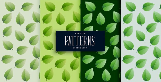 conjunto de diseños realistas de hojas verdes en varios colores