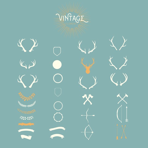 Conjunto de diseños vintage