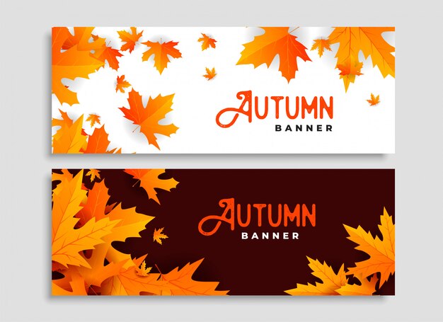 Conjunto de dos hojas de otoño diseño de banners estacionales