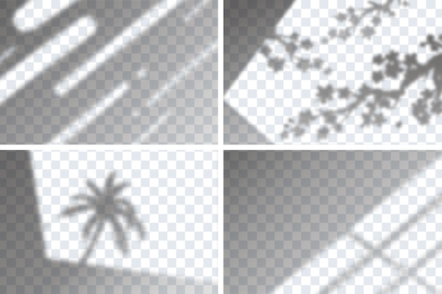 Conjunto de efectos de superposición de sombras transparentes para la marca