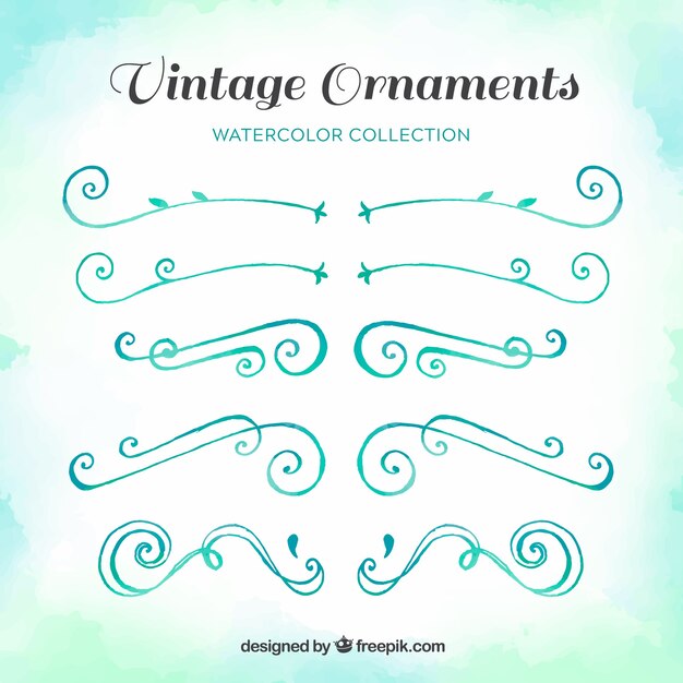 Conjunto elegante de adornos vintage