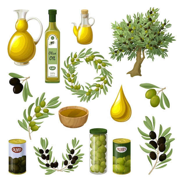Conjunto de elementos de aceite de oliva de dibujos animados