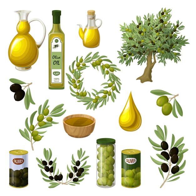 Conjunto de elementos de aceite de oliva de dibujos animados