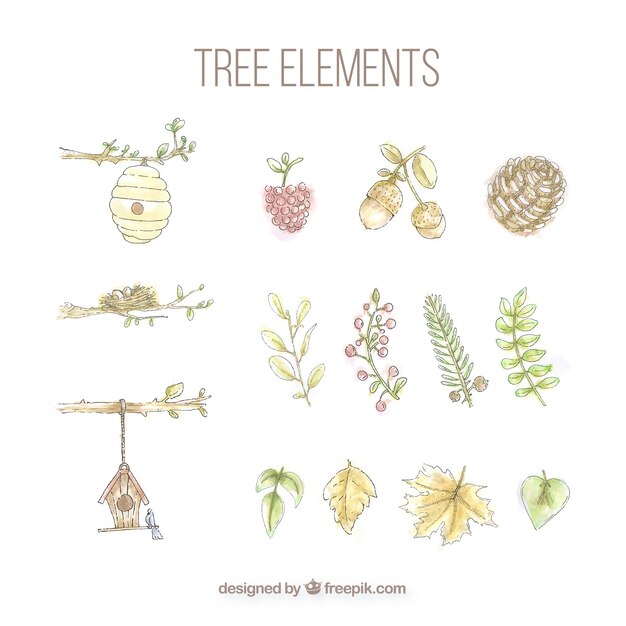 Conjunto de elementos del árbol pintados con acuarelas