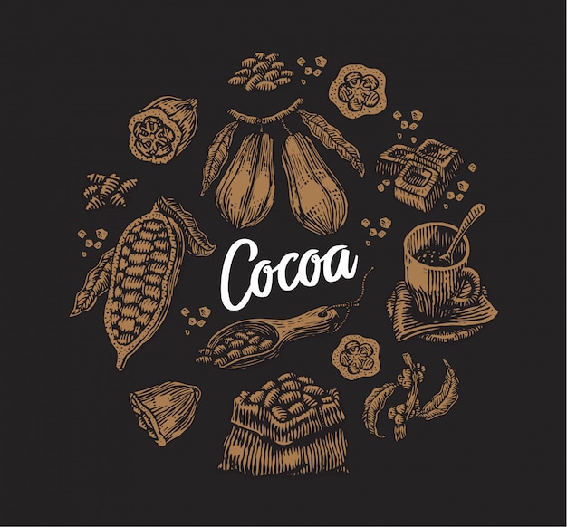Vector gratuito conjunto de elementos de cacao