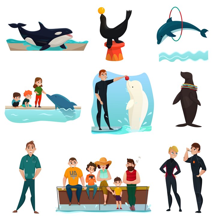 Vector gratuito conjunto de elementos del delfinario