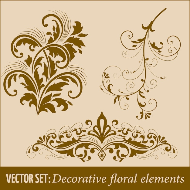 conjunto de elementos de diseño caligráfico y decoración de página