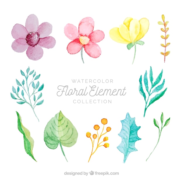 Vector gratuito conjunto de elementos florales en acuarela