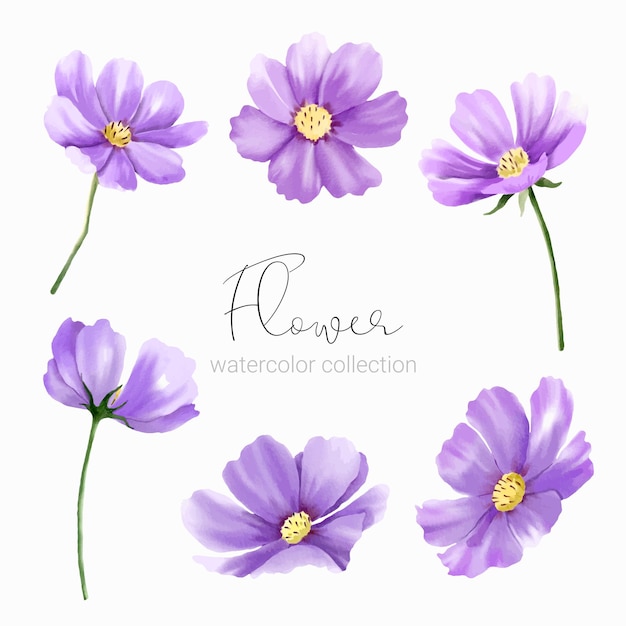 Vector gratuito conjunto de elementos florales colección conjunto de flores estilo acuarela