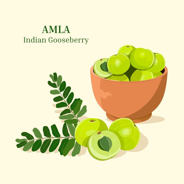 Conjunto de elementos de fruta amla
