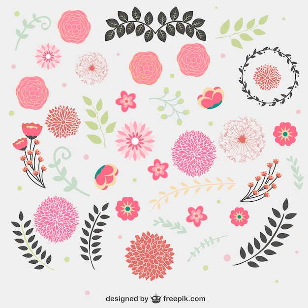 Vector gratuito conjunto de elementos gráficos florales