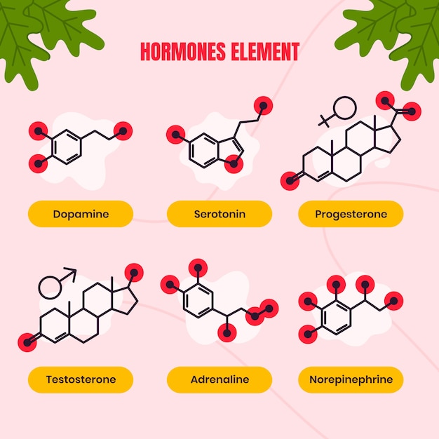 Conjunto de elementos de hormonas dibujadas a mano