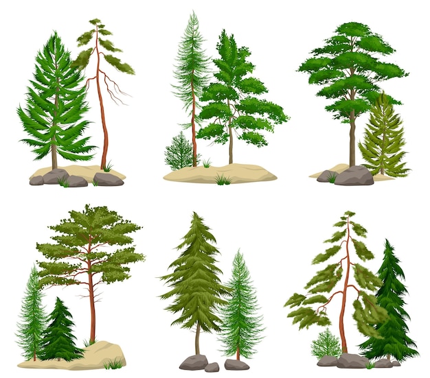 Conjunto de elementos realistas de bosque de pinos con suelo de coníferas y rocas aisladas