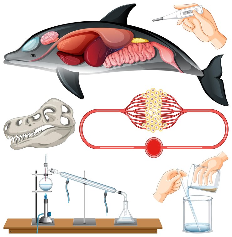 Vector gratuito conjunto de equipos necesarios para el experimento científico.