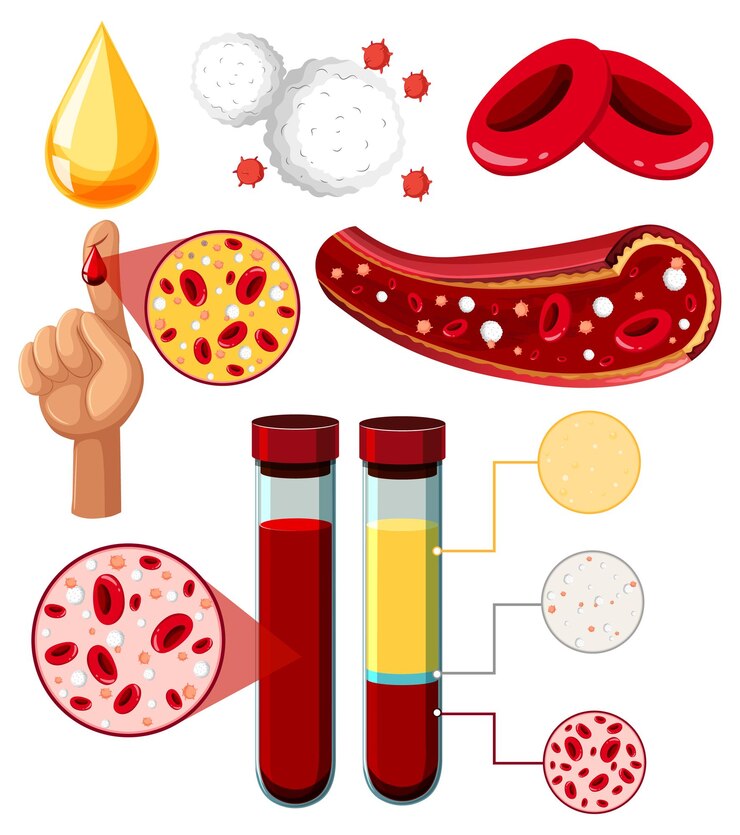 Vector gratuito conjunto de equipos necesarios para el experimento científico.