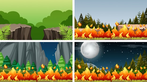 Conjunto de escenas en la naturaleza.