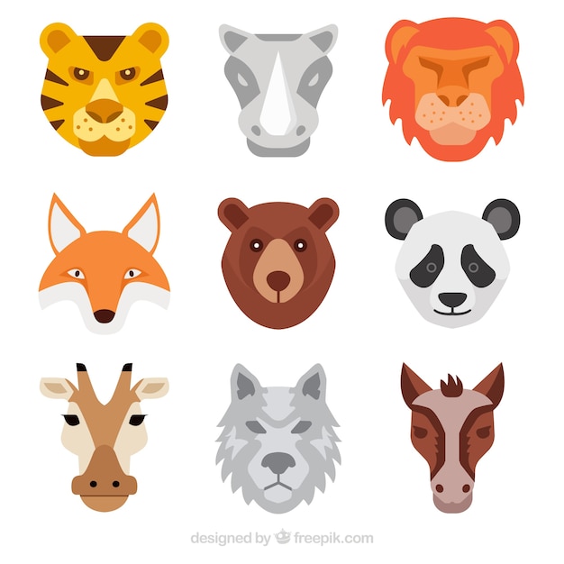 Conjunto con estilo de caras de animales con diseño plano