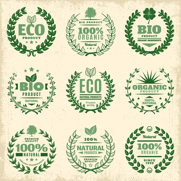 Conjunto de etiquetas de producto ecológico verde vintage