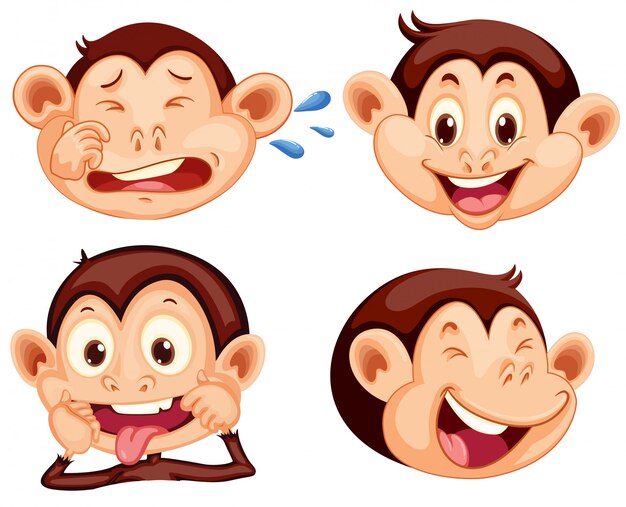 Conjunto de expresión facial de mono.