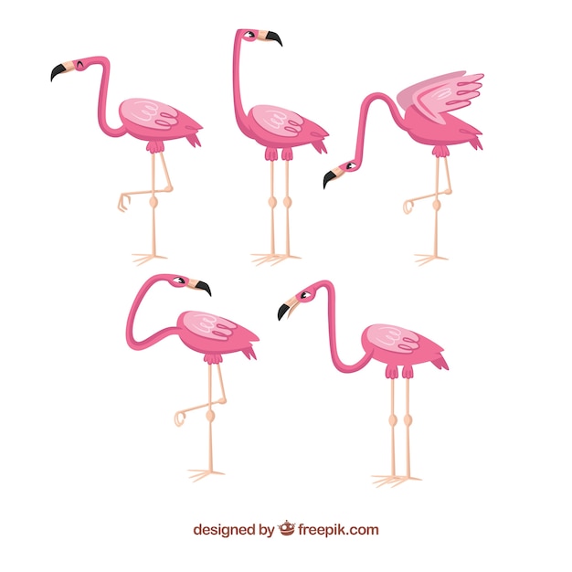Conjunto de flamencos rosa en estilo hecho a mano