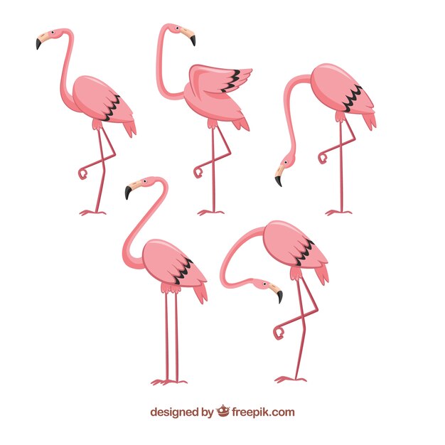 Conjunto de flamencos rosa en estilo hecho a mano