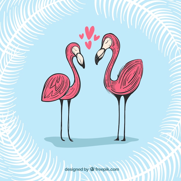 Vector gratuito conjunto de flamencos rosa con posturas diferentes