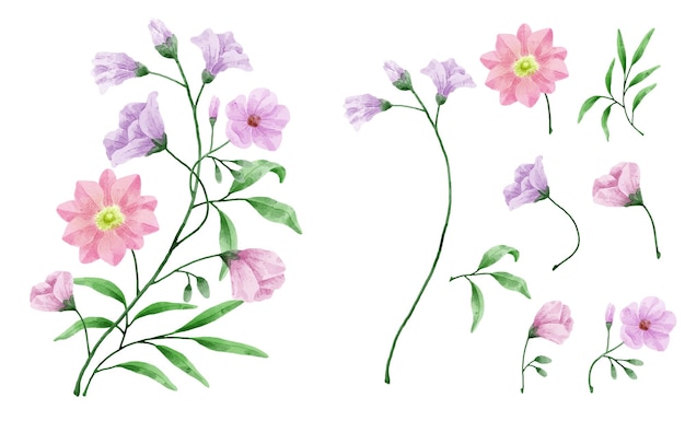 Conjunto de flores de acuarela