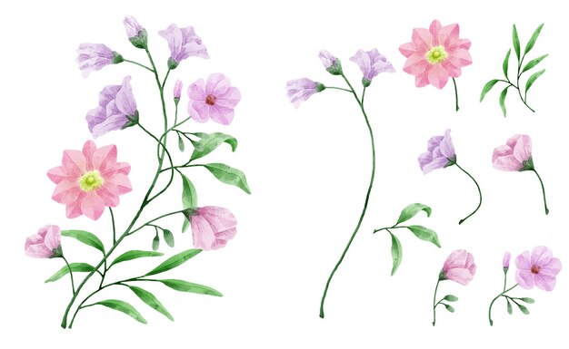 Conjunto de flores de acuarela