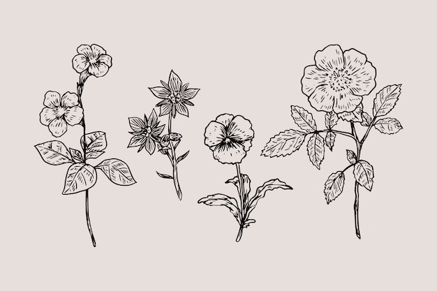 Vector gratuito conjunto de flores de botánica vintage dibujado a mano realista
