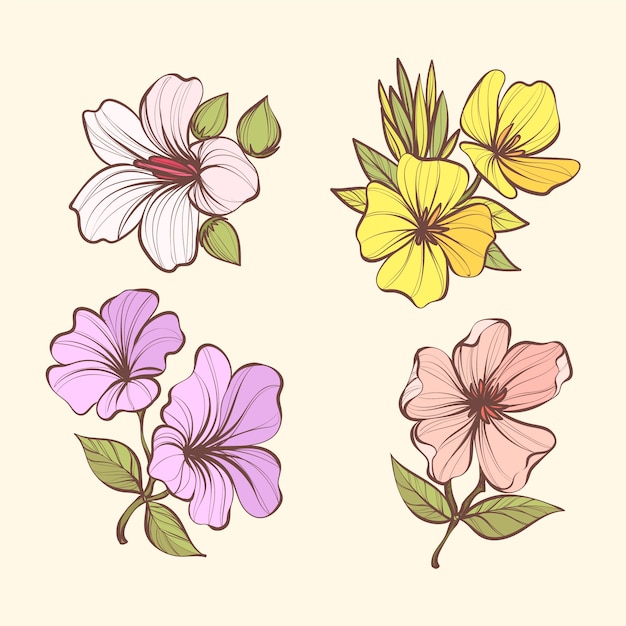 Vector gratuito conjunto de flores de botánica vintage