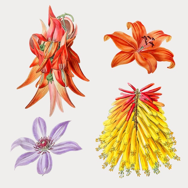 Conjunto de flores de colores vector acuarela